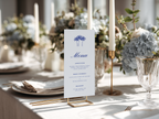 Costal Blue Ultimate Wedding Bundle